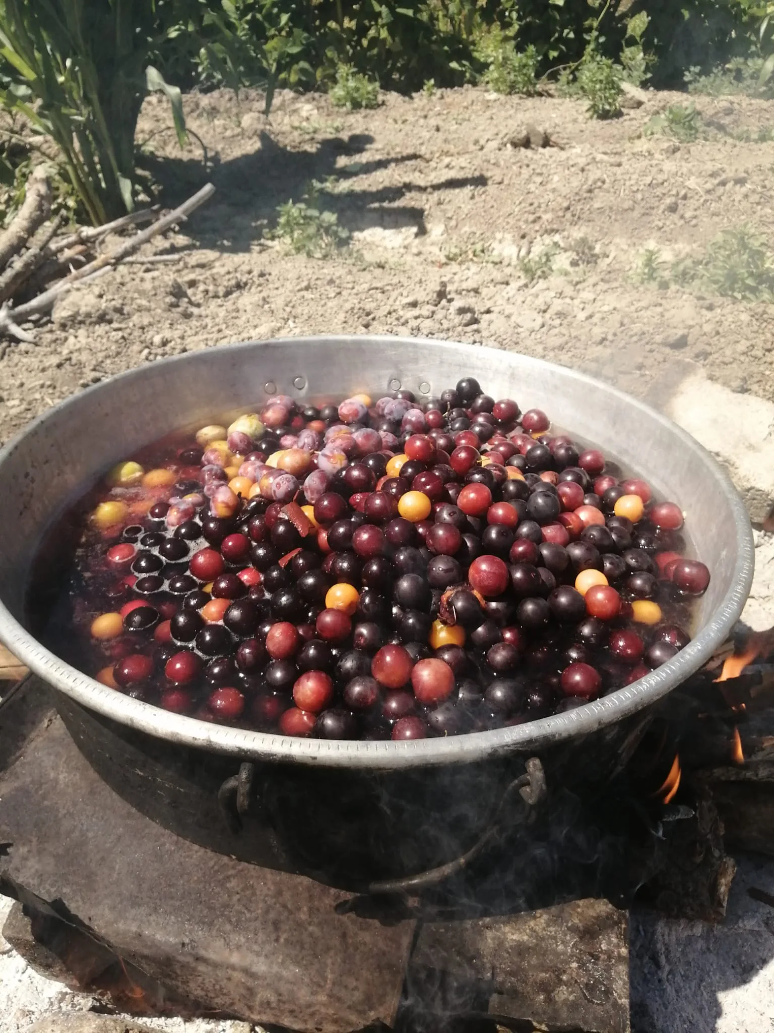 Göynük Eriği Marmelatı